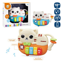 Órgano Gato Actividades