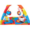 Gimnasio Actividades Animales
