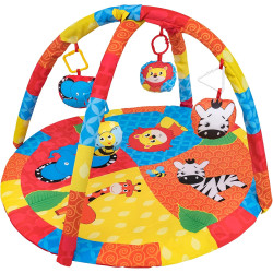 Gimnasio Actividades Animales