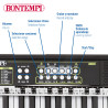 Bontempi-Organo Electronico 37 teclas