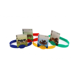 Juego ¿que animal es?