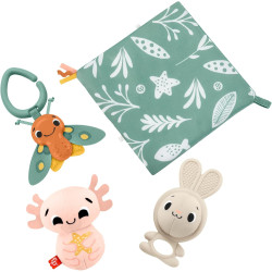 Fisher Price- Conjunto Estimulante