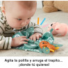 Fisher Price- Conjunto Estimulante