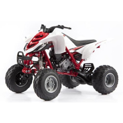 Quad Yamaha Raptor 660 1:12