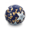 Balón Nº5 Champions