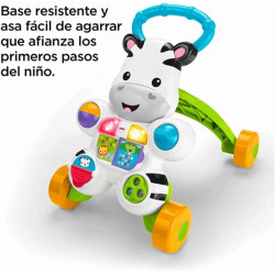 Cebra Musical Primeros Pasos