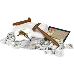 Arqueojugando Smilodon