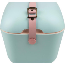 Nevera Polar Box Verde Agua 12L