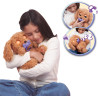 Baby Paws Love & Care Labradoodle