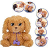 Baby Paws Love & Care Labradoodle