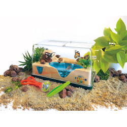 Stream Cefa - Insecticefa Plus