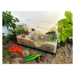 Stream Cefa - Insecticefa Plus