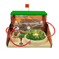 Stream Cefa - Laboratorio Hormicefa