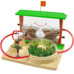 Stream Cefa - Laboratorio Hormicefa