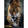 Puzzle Walk of the Jaguar High Quality 1000pzs