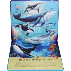 Libro Pop Up Los Océanos