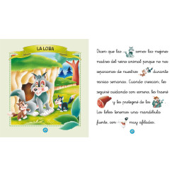 Libro Leo y Veo - El Bosque