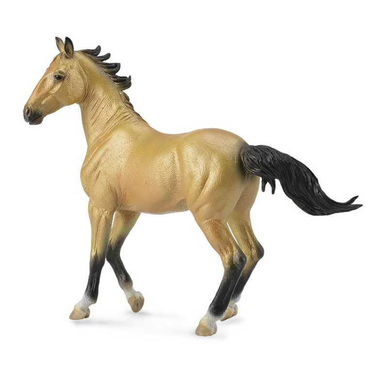 Yegua Akhal Teke Color Ante XL