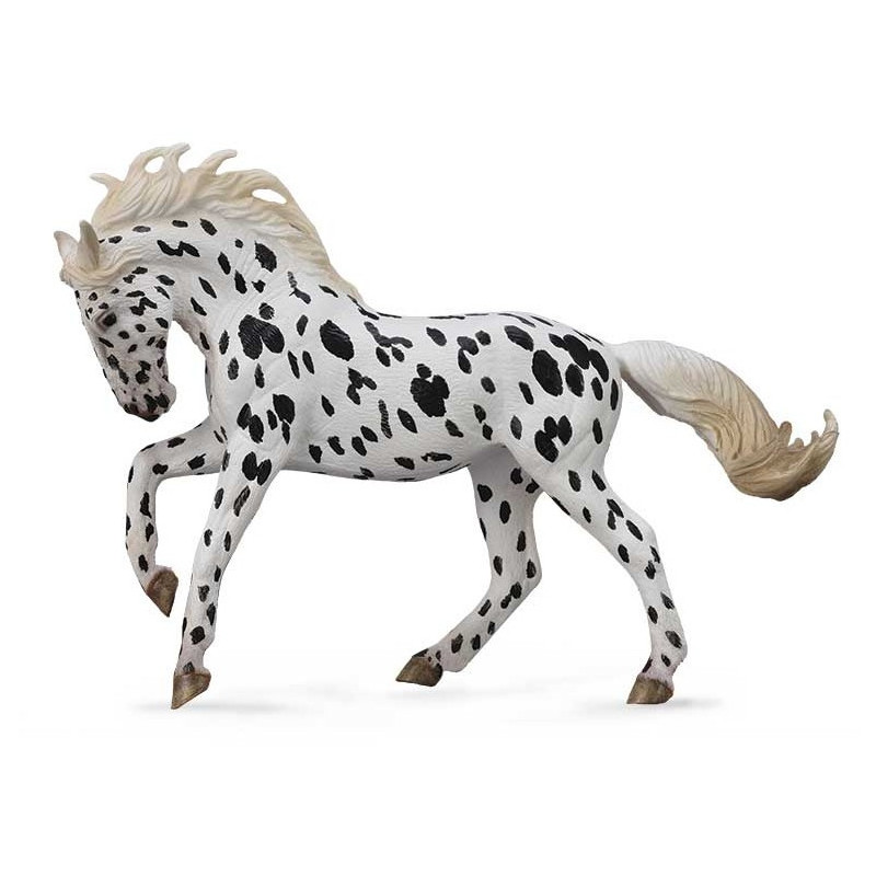 Yegua Knabstrup, Leopardo Oscuro XL