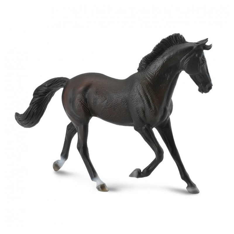 Yegua Pura Sangre Negra XL