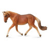 Yegua Haflinger XL