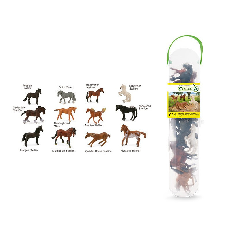 Box de Caballos Minis