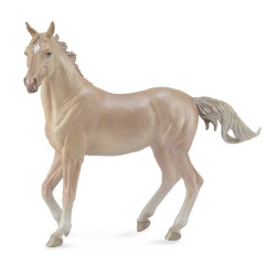 Yegua Akhal-Teke Color Crema