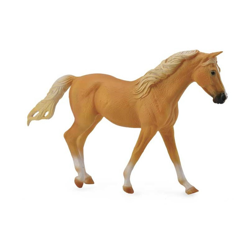 Yegua de Troton Missouri Fox Palomino XL