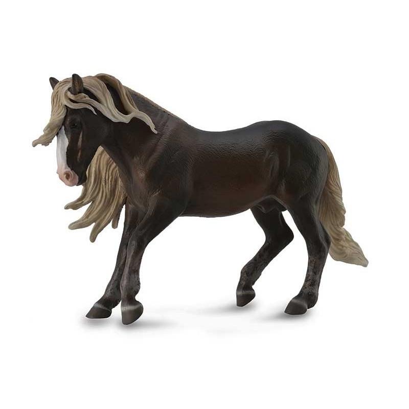 Caballo Staillon Black Forest XL