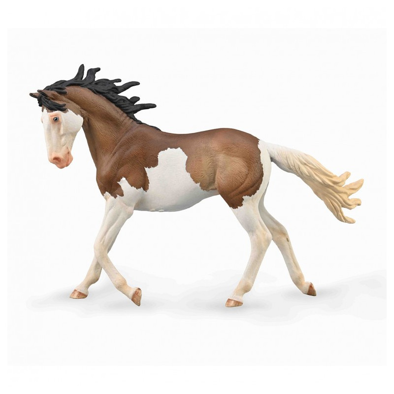 Yegua Mustang Bay Splash Overo XL