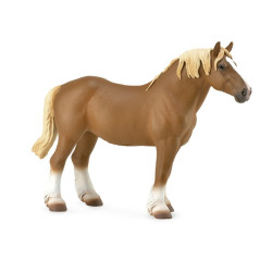 Yegua Belga Marron Castaño XL