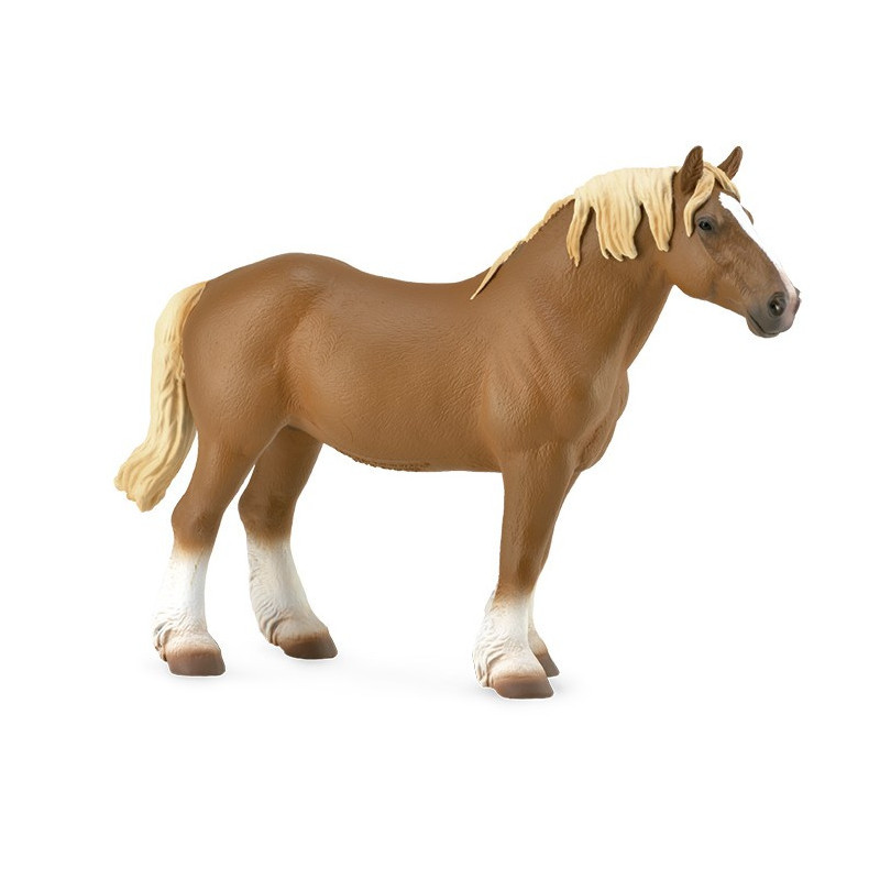 Yegua Belga Marron Castaño XL