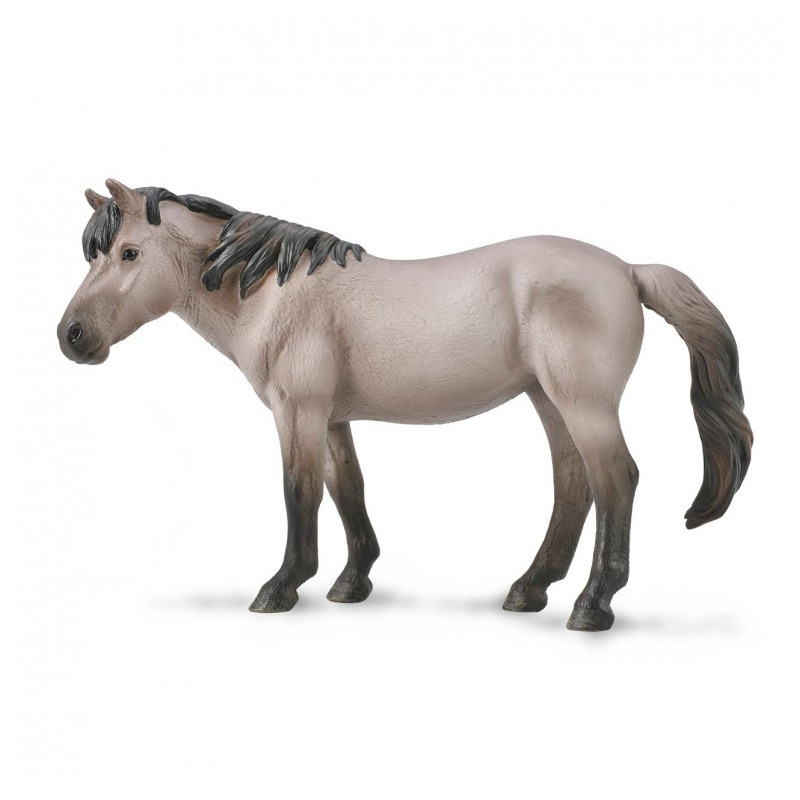 Yegua Konik Azul Pardo XL