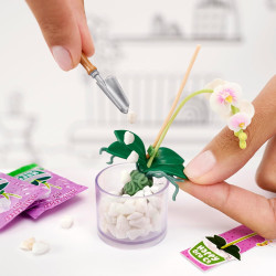 Miniverse Multipack Health Beauty