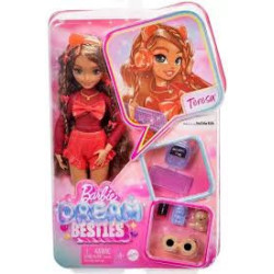Muñeca Dream Besties Barbie