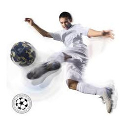 Balón Nº5 Champions